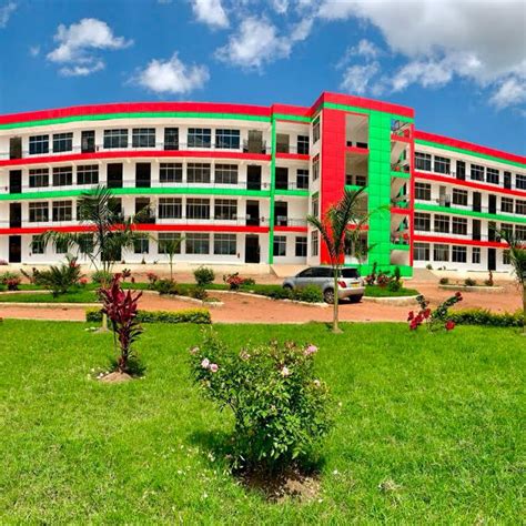 Mwanza College Of Health And Allied Sciences College In Mwanza