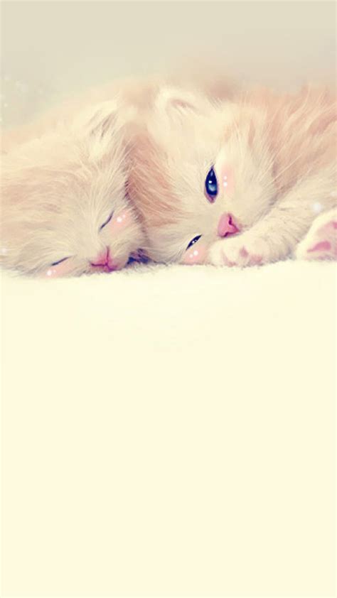 Find the best cute wallpapers for phones on getwallpapers. Sleeping Cute Kittens Lockscreen Android Wallpaper free ...