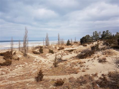 Pinery Provincial Park Beach Grand Bend On Pet Friendly Travel