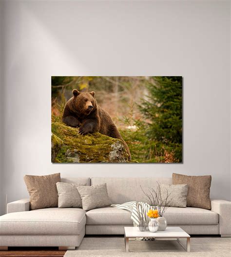 Bear Wall Art Bear Canvas Print Bear Modern Art Wild Animal Etsy