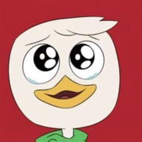 Ducktales 2017 Matching Pfpsicons Duck Tales Matching Profile