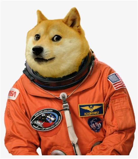 The much wow innovative … Wow Much Doge Png - Memes Para Sticker De Whatsapp PNG ...