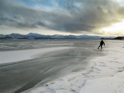 Man Tests Ice Lake Laberge Freeze Up Yukon Canada Stock Photo Image