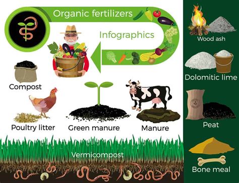 What Are Fertilizers Types Uses And Advantages Of Fer