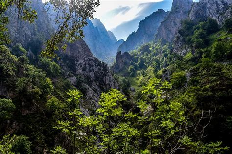 피 코스 드 유로파 아스투리아스 관광 식물 자연의 아름다움 산 나무 풍경 자연 평온 조용한 장면 Pxfuel