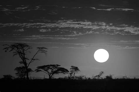 African Sunset Photograph By Travelbugphoto Pixels