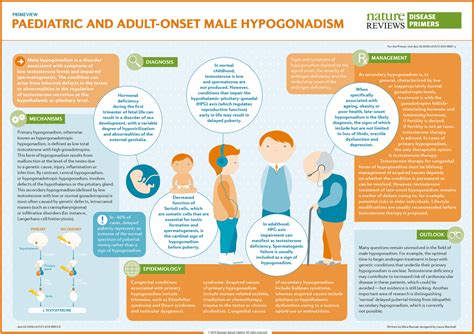 Paediatric And Adult Onset Male Hypogonadism Nature Reviews Disease