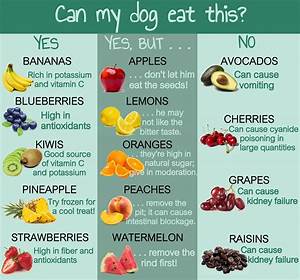 Can My Dog Eat These Fruits Easy Reference Chart Can Dogs Eat This