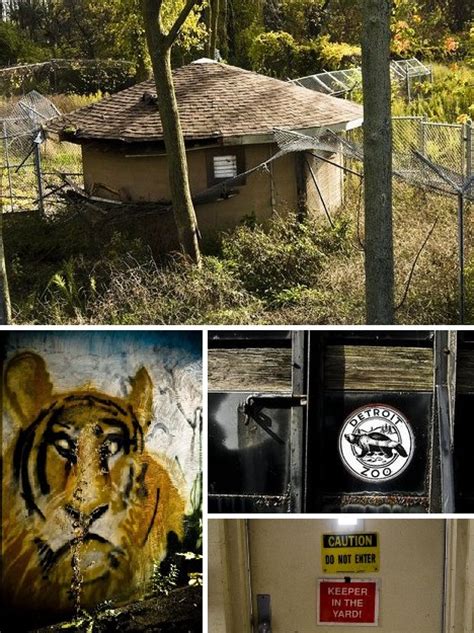 The Roaring Silence 10 Cool And Creepy Abandoned Zoos Weburbanist