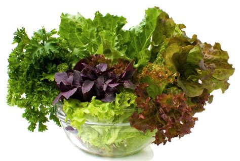 Green Leafy Vegetables Glv Nutrient Rich But Low In Calorie