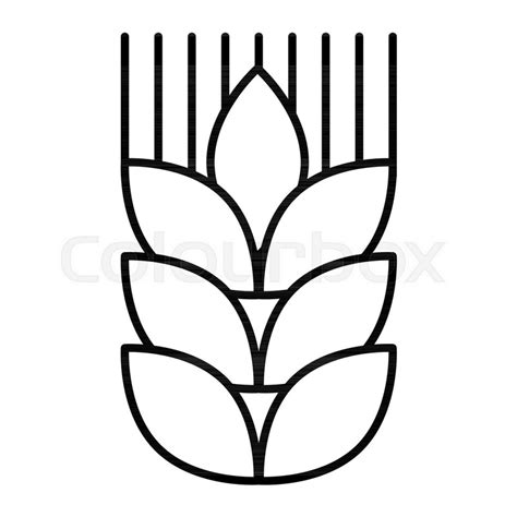 Wheat Line Drawing Free Download On Clipartmag