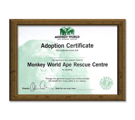 Adopt A Primate Monkey World