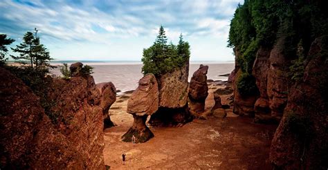 Bay Of Fundy Experience Maxxim Vacations Atlantic Canada Tours
