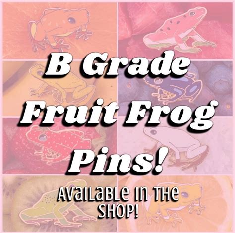 Blueberry Fruit Frog Enamel Pin Adorable Tiny Frog Pin Etsy