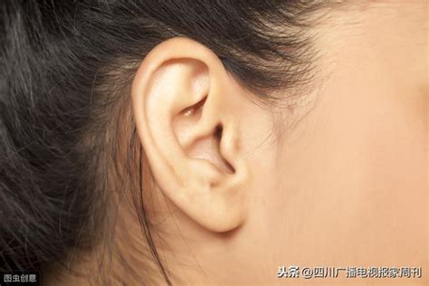 耳垂折痕是冠心病信号 每日头条