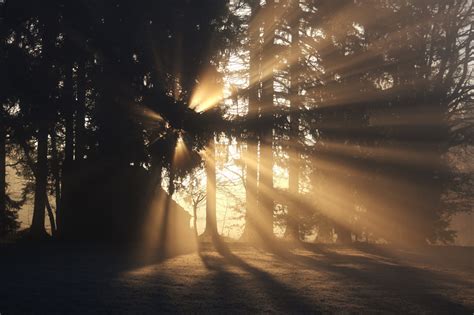 Hintergrundbilder Sonnenlicht Landschaft Wald Nacht Natur