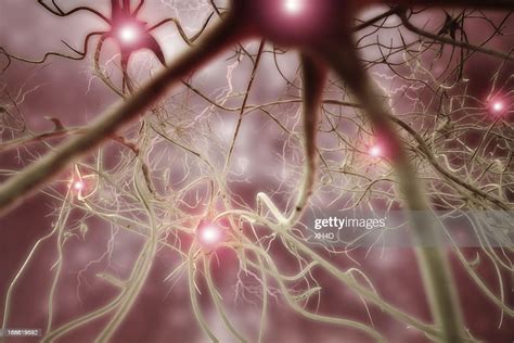 Nerve Cell 3d Biomedical Illustration High Res Stock Photo Getty Images