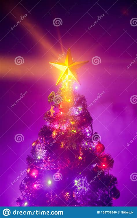 Christmas Tree With Shining Star Stock Photo Image Of Close Pine
