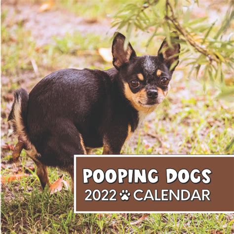 Pooping Dogs 2022 Calendar Funny Pooches In Awkward Positions In
