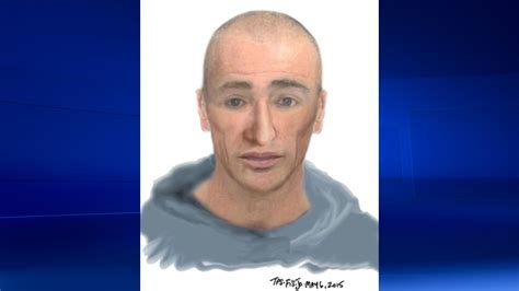Police Release Sketch Of High Park Sexual Assault Suspect Ctv News