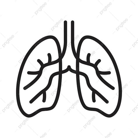 Human Lungs Clipart Vector Vector Human Lungs Flat Icon Isolated On