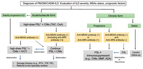 Medicina Free Full Text Management Of Myositis Associated