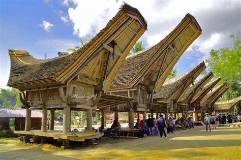 Tongkonan Rumah Adat Toraja Sulawesi Selatan Christa Kasih