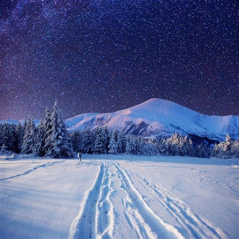 Premium Photo Starry Sky In Winter Snowy Night