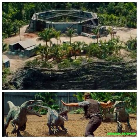 Jurassic World Raptor Squad Their Paddock Is In The Restricted Zone There Are No Wi