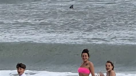 Terrifying Moment Beachgoers Spot Shark Fin In Shallows At Popular Uk