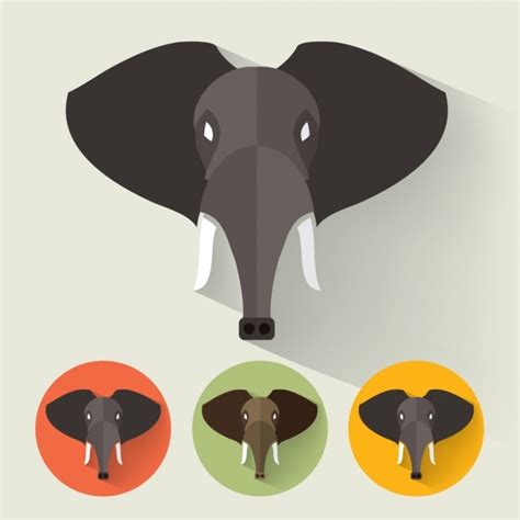 Colección De Diseños De Elefante Vector Gratis
