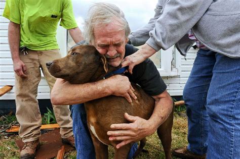 The Man Who Thought He Lost His Dog Dog Meet Powerful Images