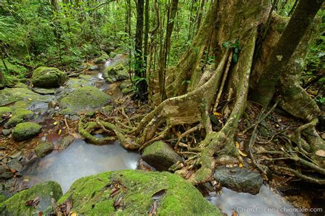 Stream And Rainforest In Masoala National Park Madagascar Flickr