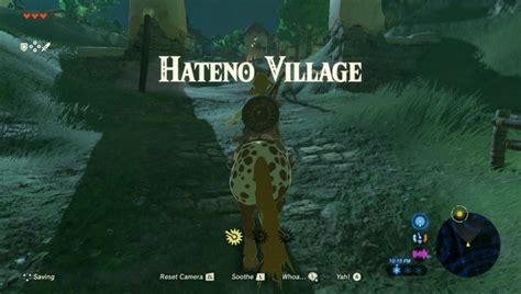 Breath Of The Wild Hateno Village The Video Games Wiki