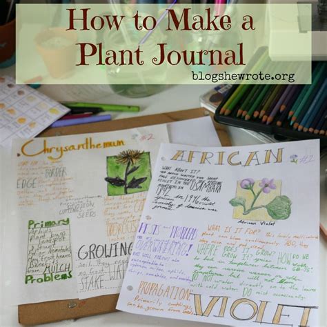 How To Make A Plant Journal Plant Journal Garden Journal Gardening