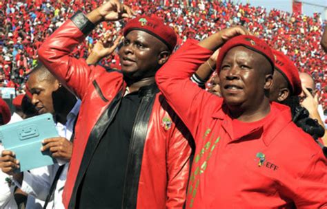 What does eff abbreviation stand for? 25 seats in Parliament for EFF, 2 seats for Agang