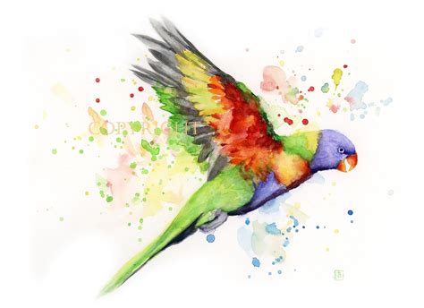 Flying Parrot Watercolor Print Tropical Birds Painting Colorful