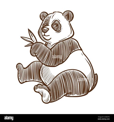 Giant Panda Eating Bamboo Drawing