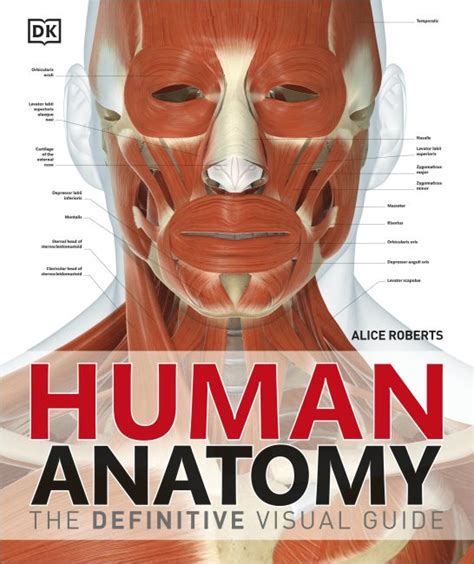 Human Anatomy Dk Uk