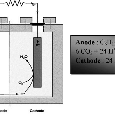Two Chamber H Shaped Mfc With Anode And Cathode Chambers And Separator