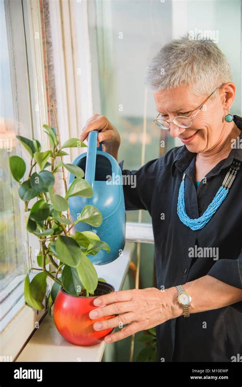 Retired Gardener Senior Woman Watering Plant Stock Photo Alamy