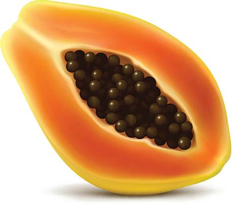 Royalty Free Papaya Clip Art Vector Images And Illustrations Istock