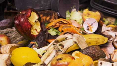 Expandirán Programa Para Reciclar Los Desechos De Alimentos