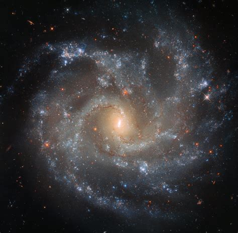 La galaxia espiral barrada es otro fenómeno ubicado en el espacio exterior como un objeto cósmico con características sorprendentes. Galaxia Espiral Barrada 2608 : Y es también mucho menos ...