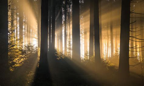 Light Rays Comming Through The Trees In Southern Germany Oc 2048x1227