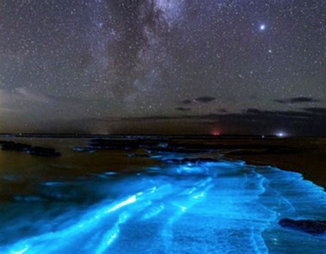 Where To Travel How Stunning Is This Fluorescent Sea