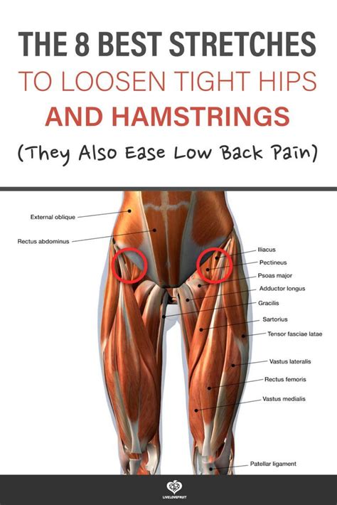 Muscle Tightness In Back Of Legs RealmInfo