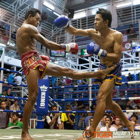 fighting thai tiger muay thai and mma training camp guest fights june 21 2013