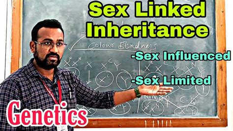 Genetics Sex Linked Inheritance Autosomal Vs Sex Linked Sex Influenced And Sex Limited
