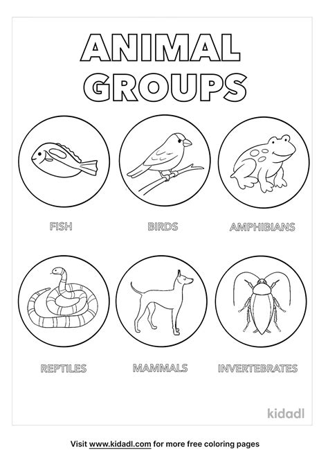 Free Animal Groups Coloring Page Coloring Page Printables Kidadl
